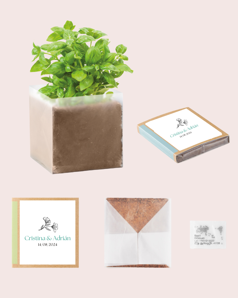Bolsita con semillas | Regalos de Boda para Invitados