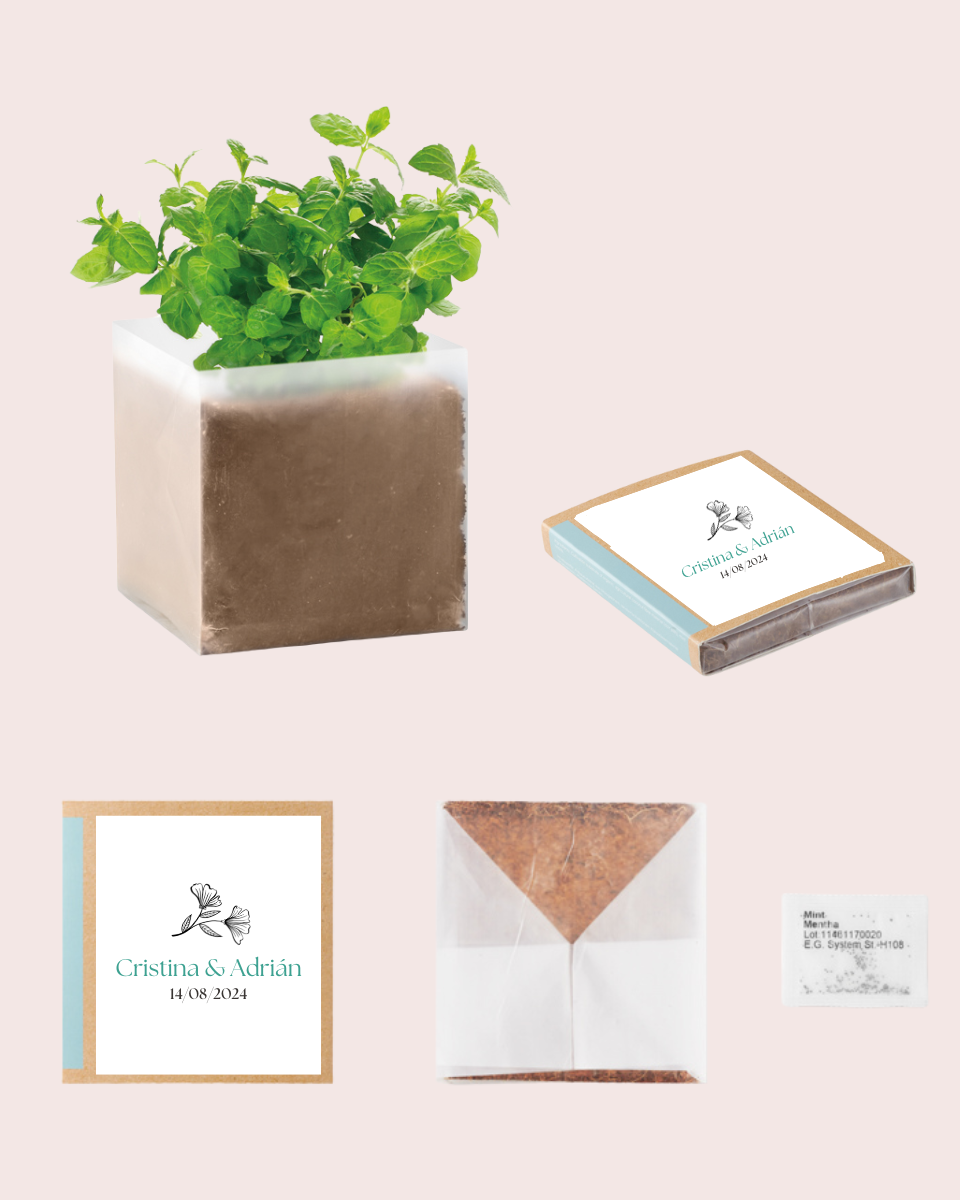 Bolsita con semillas | Regalos de Boda para Invitados