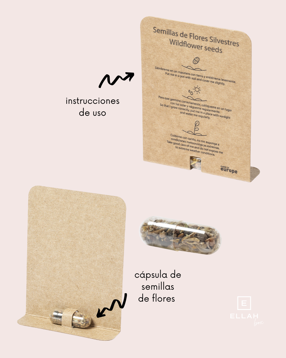Tarjeta Cápsula de Semillas | Regalos de Boda para Invitados